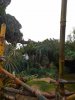 DSCN3643.jpg