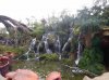 DSCN3651.jpg