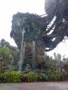 DSCN3625.jpg