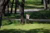 DSC_0627.jpg