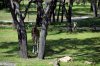 DSC_0630.jpg