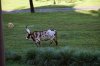 DSC_0776.jpg