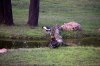 DSC_0376.jpg