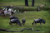 DSC_0512.jpg