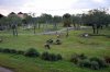 DSC_0520.jpg