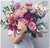 Screen Shot 2018-01-09 at 8.34.38 AM.png