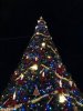 IMG_1654.JPG