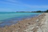 DSC_0640a.jpg