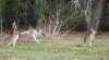 DSCF0464.jpg