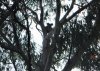 DSCF0459.jpg