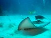 DSC00595.jpg