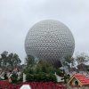 IMG_9654.jpg