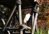 Dsc03195.jpg