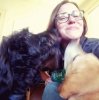trista dogs.jpg