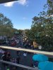 D9A04561-E51C-43E1-A208-98B74F8920D4.jpeg