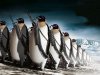 Penguin_army_marching_technology_linux_hd-wallpaper-10356.jpg