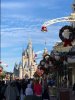 IMG_1867JPG.jpg