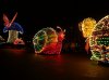 Dsc03322.jpg