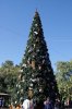 Dsc03544.jpg