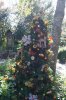 Dsc03555.jpg
