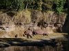 Dsc03679.jpg
