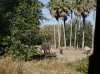 Dsc03718.jpg