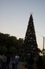 Dsc03799.jpg