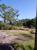 100_0070 (768x1024).jpg