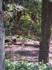 100_0074 (768x1024).jpg