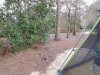 DSCN1683.JPG