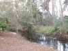 DSCN1686.JPG