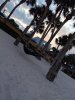 IMG_20180122_173822744.jpg