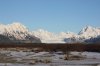 IMG_6086.jpg