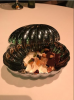upload_2018-1-26_8-6-34.png