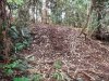 DSCF0508.jpg