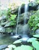 AK_Oasis 0577-2.jpg