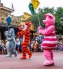 WDW_FestFant 2103.jpg