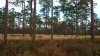 wekiva sprngs 4.jpg