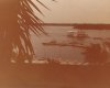 WDW 007 (Small).jpg