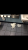 6B81A54E-B9E8-4B26-AD64-14F8F112A534.png