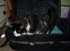 Dsc04115.jpg