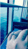 upload_2018-2-1_8-2-47.png
