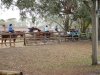 DSCN1778.JPG