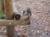DSCN1780.JPG