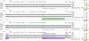 Screen Shot 2018-02-02 at 11.12.59 PM.png