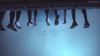 giphy (1).gif