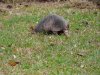DSCN1791.JPG