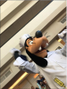 upload_2018-2-5_8-35-24.png