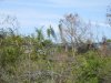 DSCN1803.JPG DSCN1803.JPG