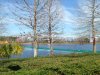 IMG_4854.JPG